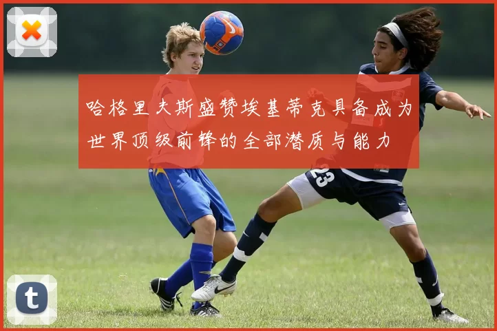 哈格里夫斯盛赞埃基蒂克具备成为世界顶级前锋的全部潜质与能力